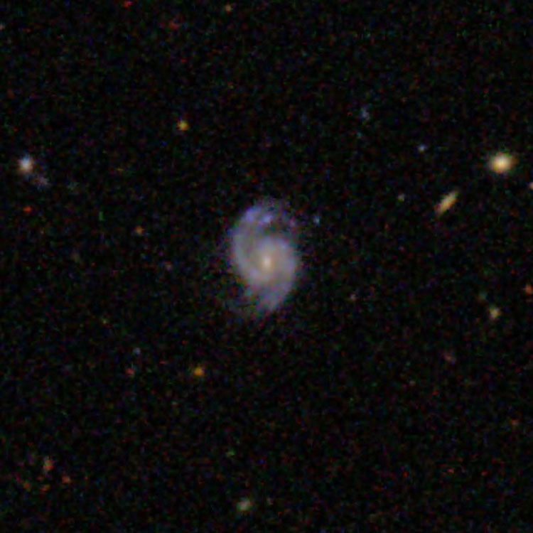 SDSS image of spiral galaxy IC 3431