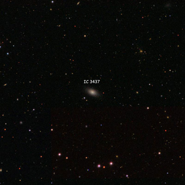 SDSS image of region near elliptical galaxy IC 3437