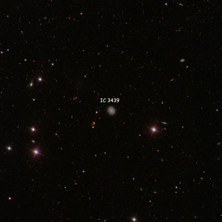 SDSS image of region near spiral galaxy IC 3439
