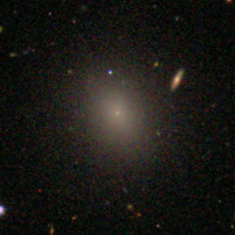 SDSS image of elliptical galaxy IC 3442