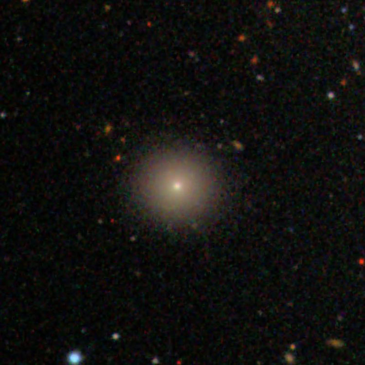 SDSS image of elliptical galaxy IC 3443