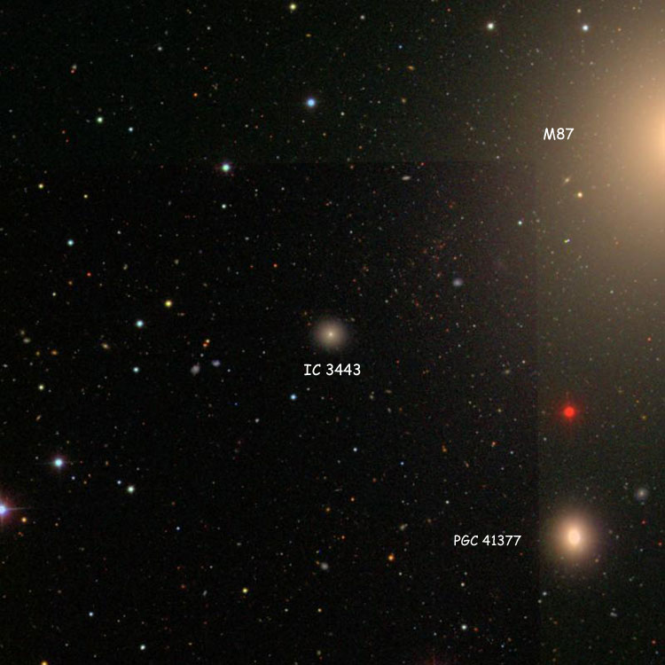 SDSS image of region near elliptical galaxy IC 3443, also showing elliptical galaxies NGC 4486 (also known as M87) and PGC 41377 (also known as NGC 4486A)