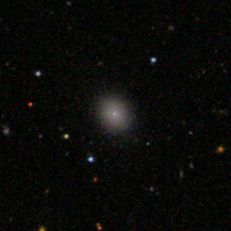 SDSS image of elliptical galaxy IC 3445