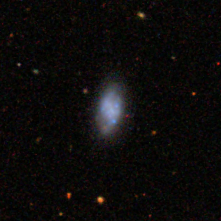 SDSS image of spiral galaxy IC 3446