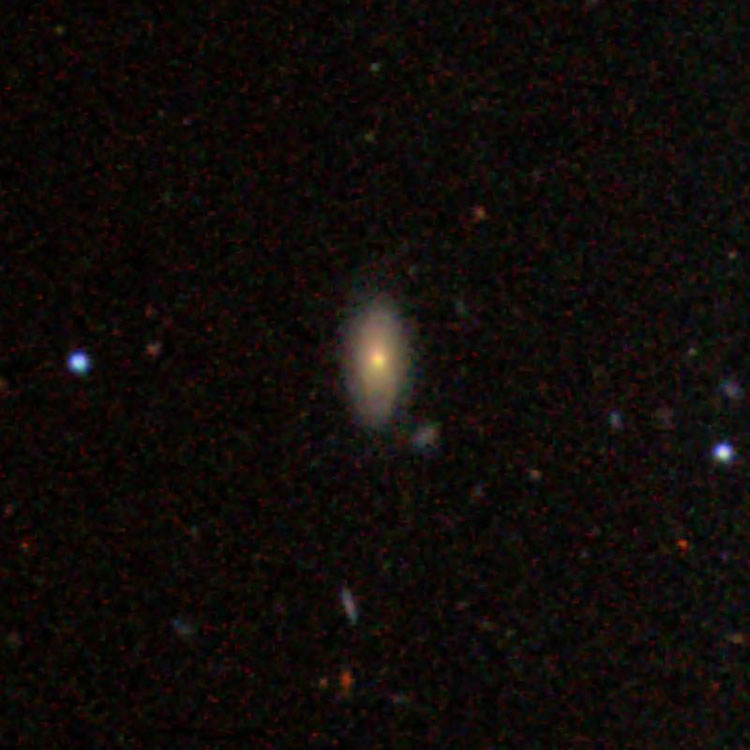 SDSS image of spiral galaxy IC 3455