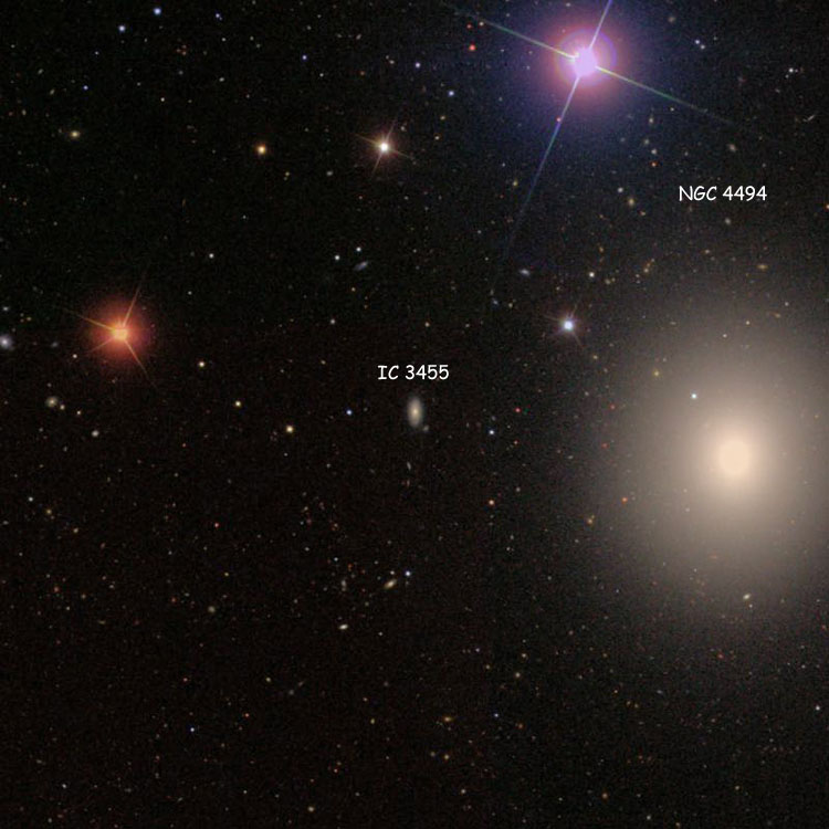 SDSS image of region near spiral galaxy IC 3455, also showing elliptical galaxy NGC 4494