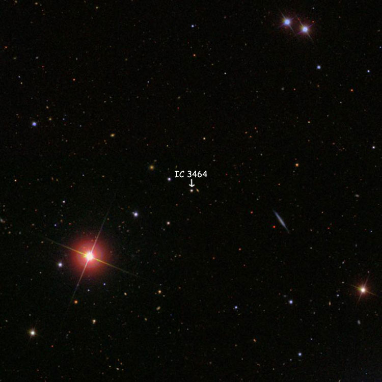 SDSS image of region near the star listed as IC 3464