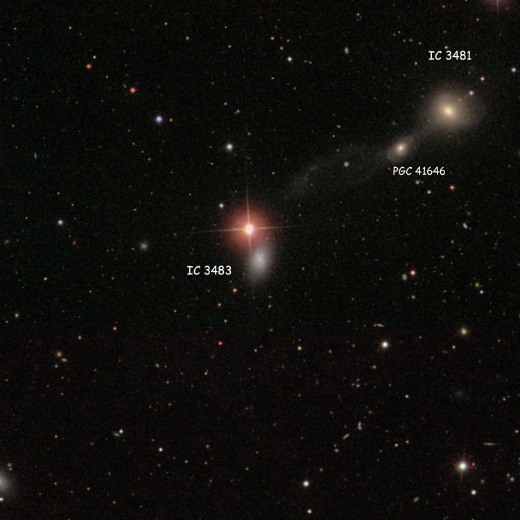SDSS image of region near spiral galaxy IC 3483, also showing lenticular galaxy IC 4381 and spiral galaxy PGC 41646, with which it comprises Arp 175, also known as Zwicky's Triplet
