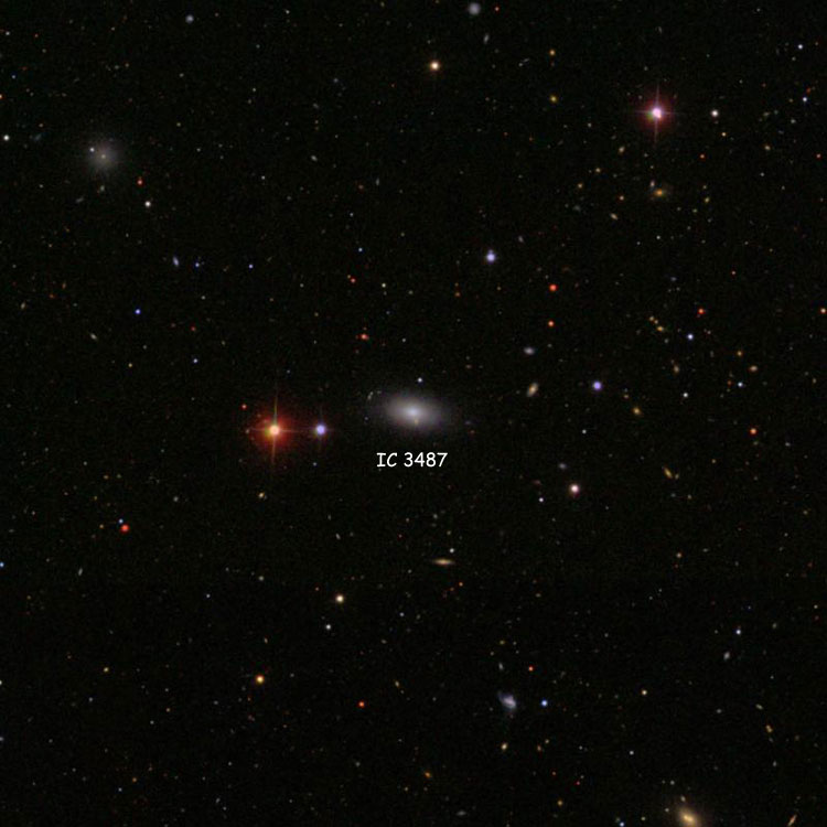 SDSS image of region near elliptical galaxy IC 3487