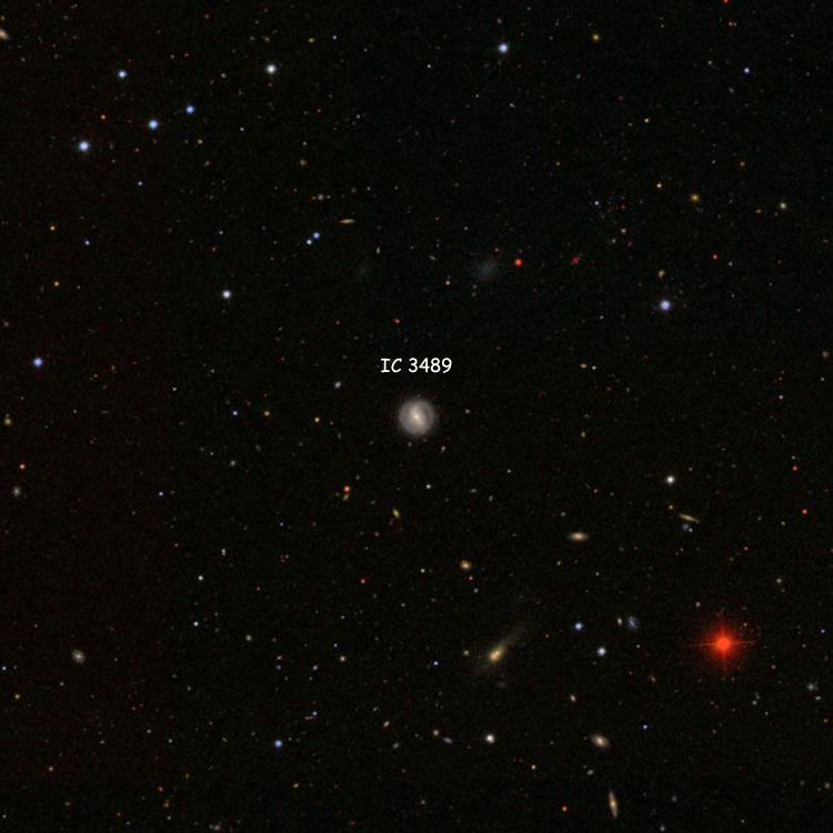 SDSS image of region near spiral galaxy IC 3489