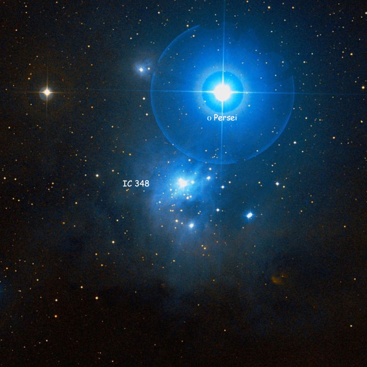 DSS image of region near open cluster and emission and reflection nebula IC 348