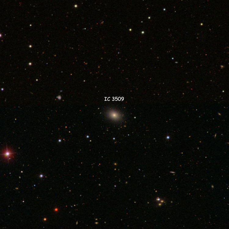 SDSS image of region near lenticular galaxy IC 3509