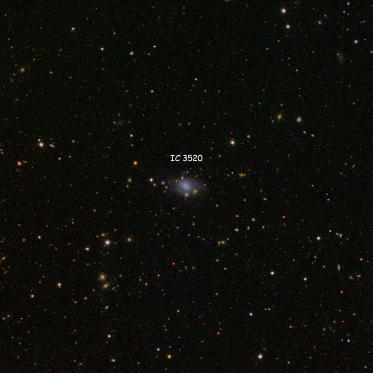 SDSS image of region near irregular galaxy IC 3520