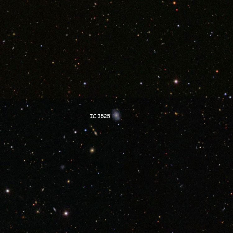 SDSS image of region near spiral galaxy IC 3525