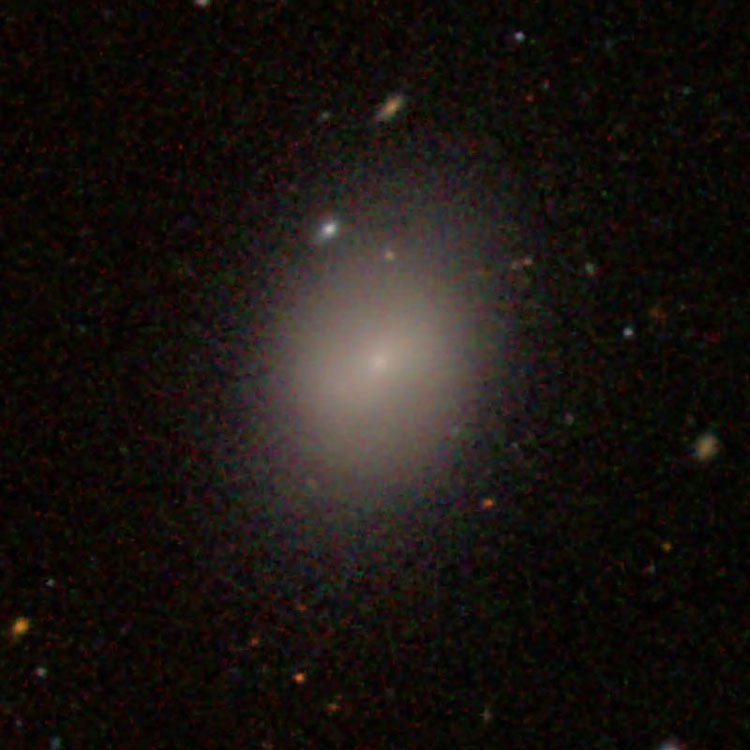 SDSS image of elliptical galaxy IC 3530