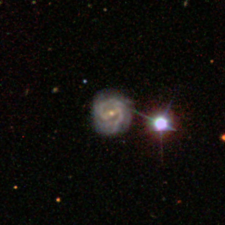 SDSS image of spiral galaxy IC 3534