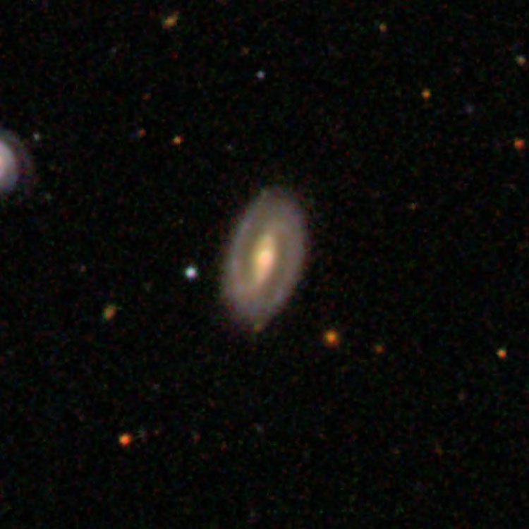SDSS image of spiral galaxy IC 3542