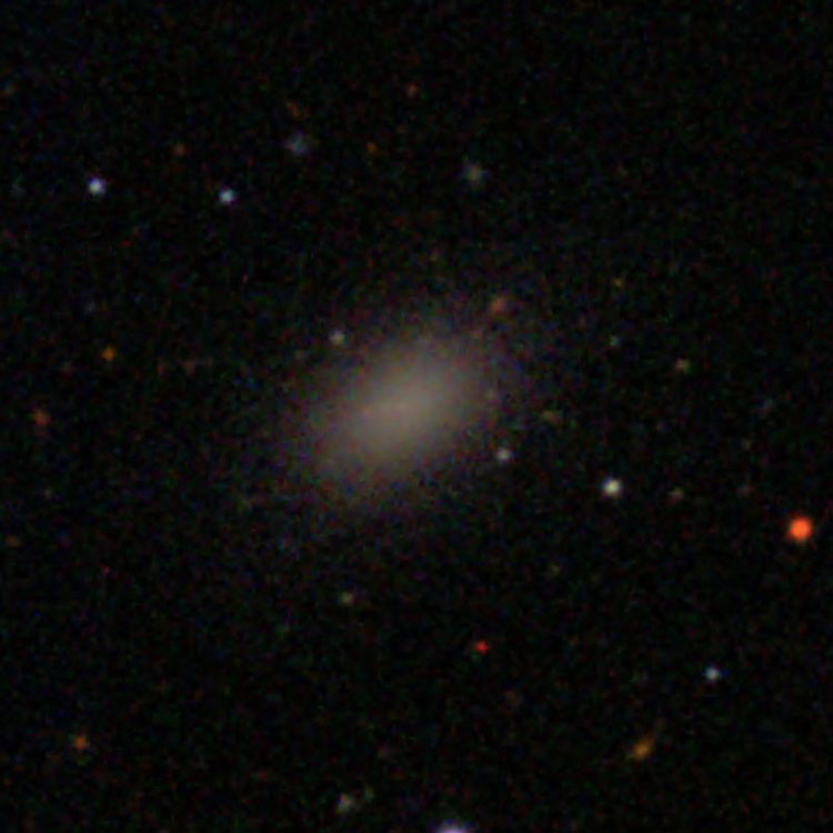 SDSS image of elliptical galaxy IC 3548