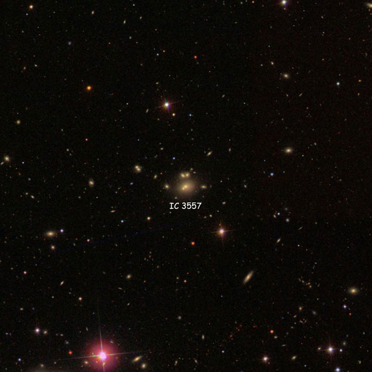 SDSS image of region near elliptical galaxy IC 3557