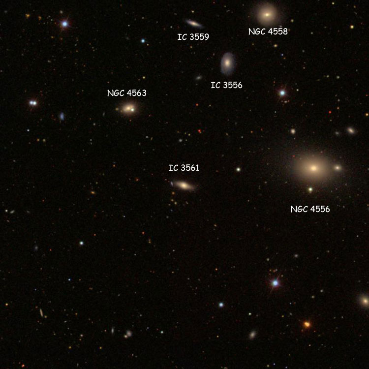 SDSS image of region near spiral galaxy IC 3561, also showing elliptical galaxy NGC 4556, lenticular galaxy NGC 4558, spiral galaxy NGC 4563 and lenticular galaxies IC 3556 and 3559