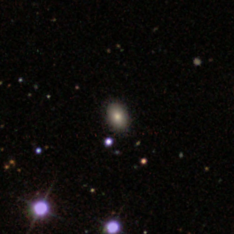 SDSS image of elliptical galaxy IC 3565