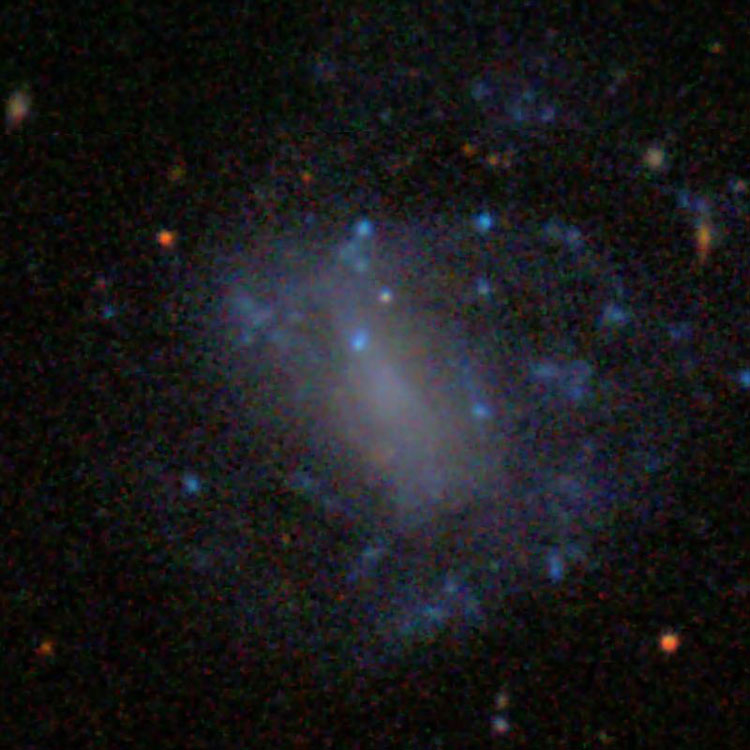 SDSS image of spiral galaxy IC 3576