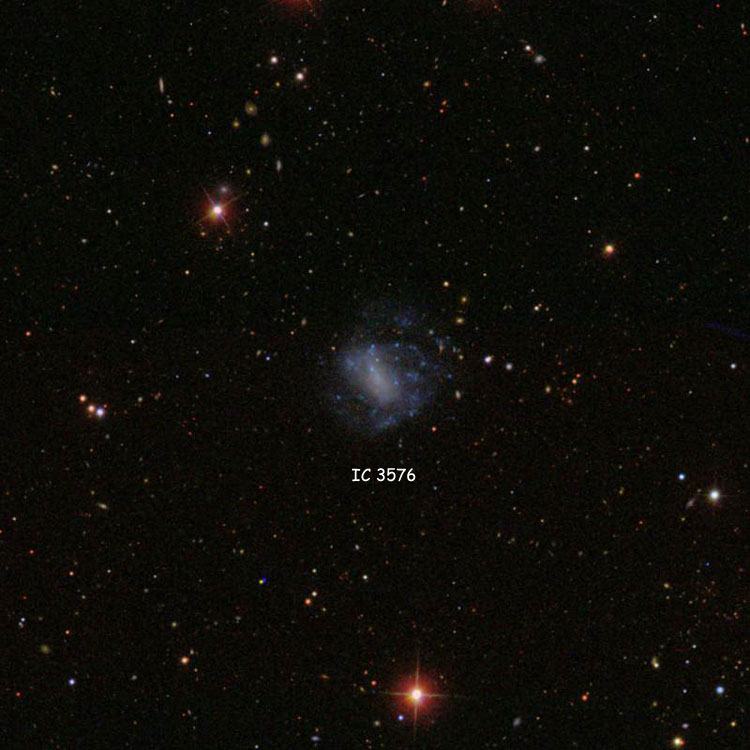 SDSS image of region near spiral galaxy IC 3576