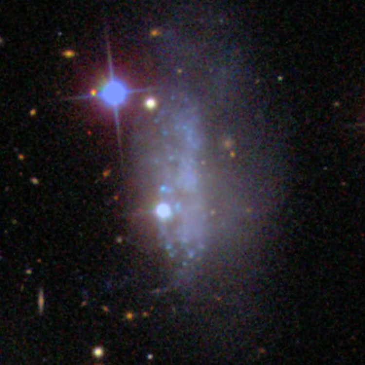 SDSS image of irregular galaxy IC 3583, also known as part of Arp 76