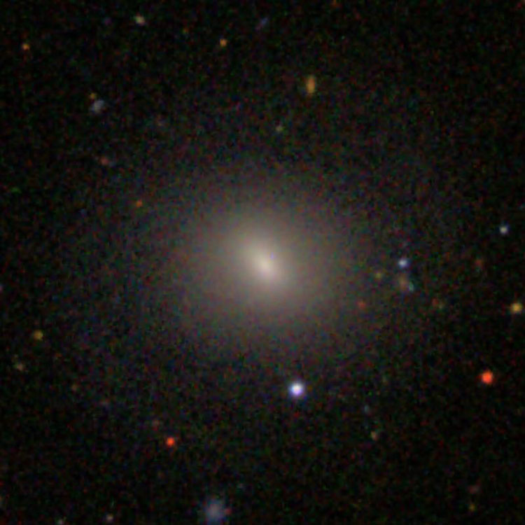 SDSS image of elliptical galaxy IC 3586