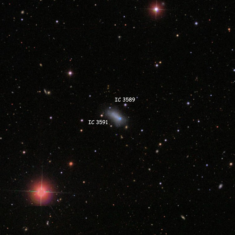 SDSS image of region near irregular galaxy IC 3591 and the star listed as IC 3589