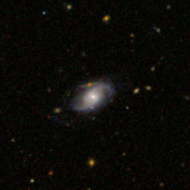 SDSS image of spiral galaxy IC 3599