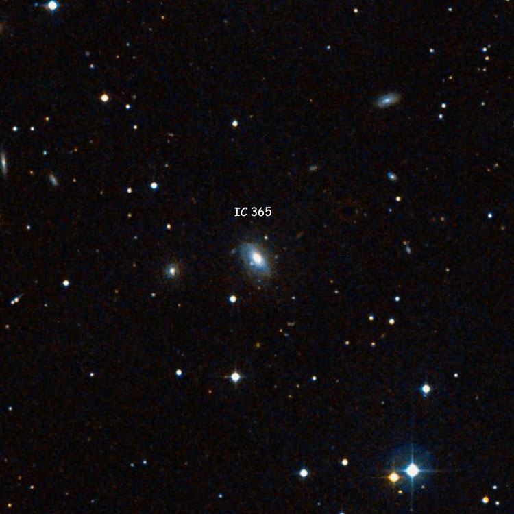 DSS image of region near lenticular galaxy IC 365