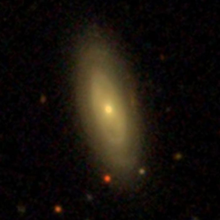 SDSS image of lenticular galaxy IC 40