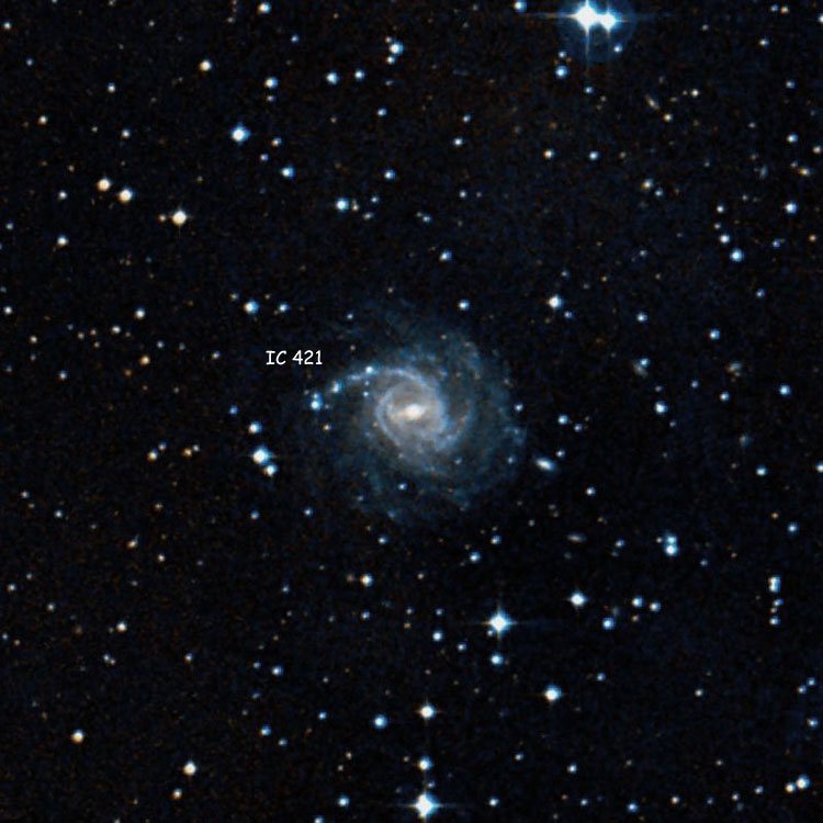 DSS image of region near spiral galaxy IC 421
