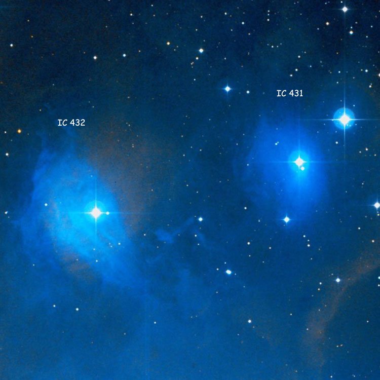 DSS image of region near reflection nebulae IC 431 and 432