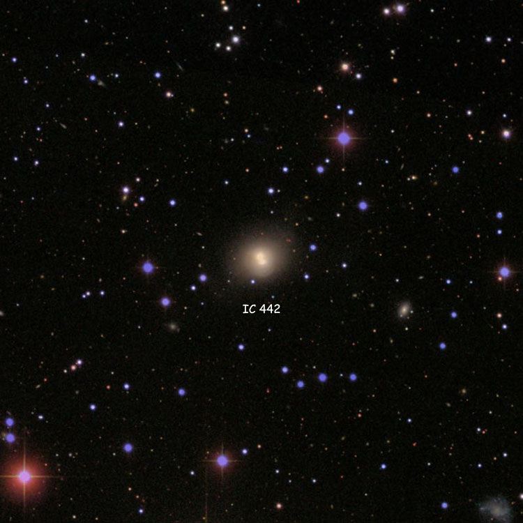 SDSS image of region near the apparently merging pair of lenticular galaxies that comprise IC 442