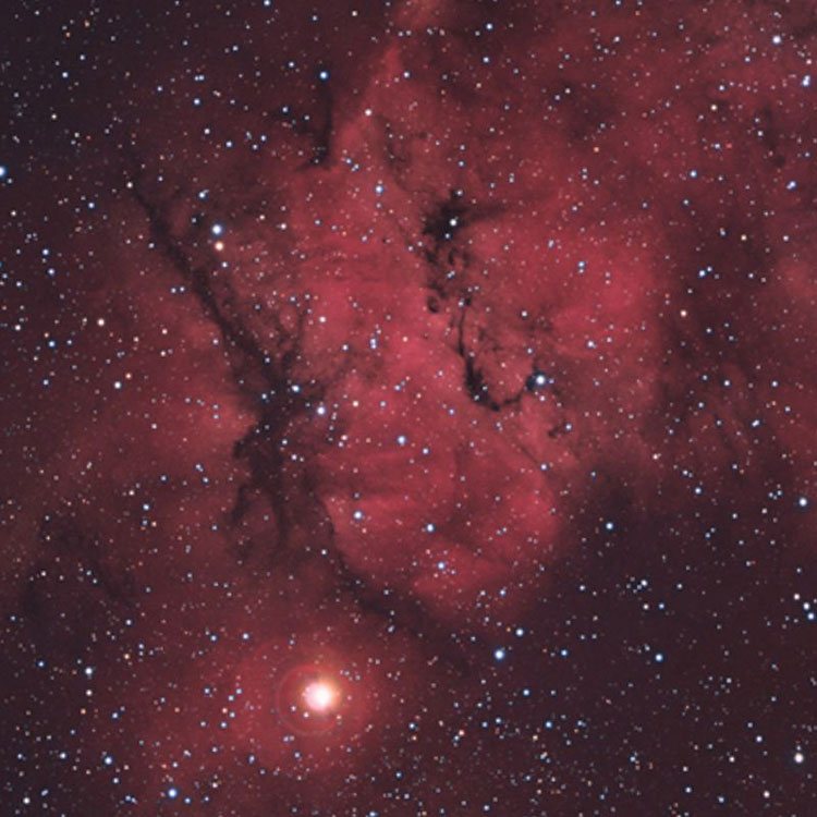 Wikisky image of unknown origin showing region near Steinicke's position for the emission nebula that may be IC 444
