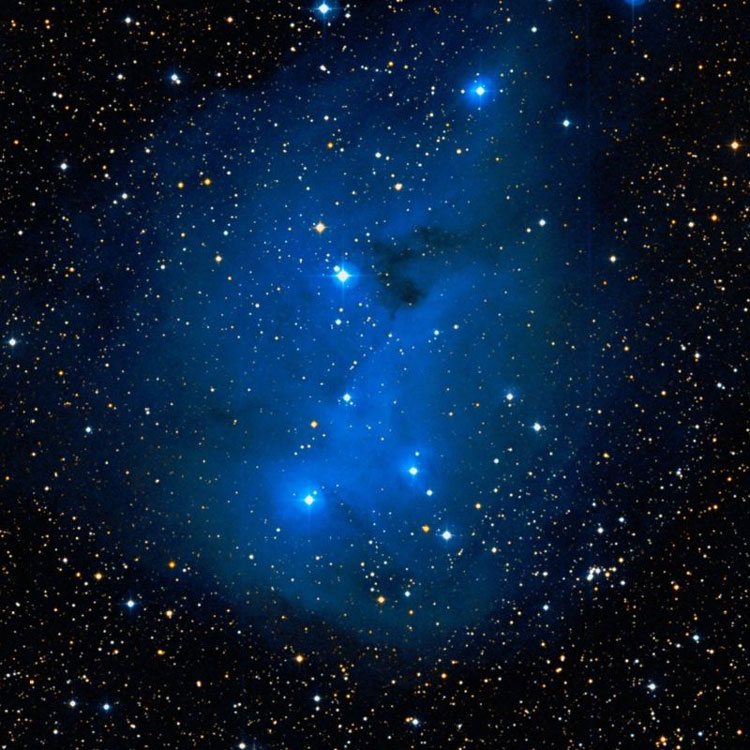 DSS image of region near the reflection nebula listed as IC 447