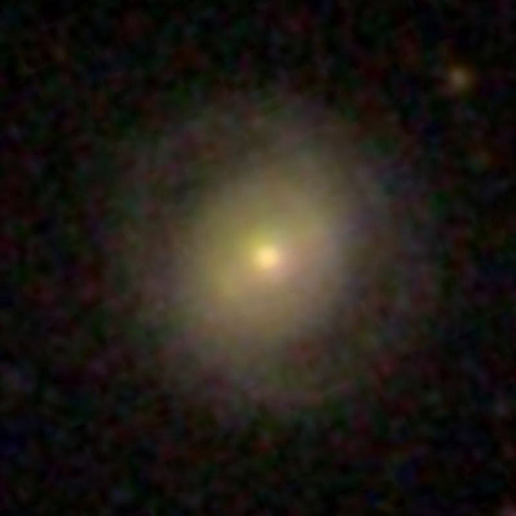 SDSS image of lenticular galaxy IC 4554