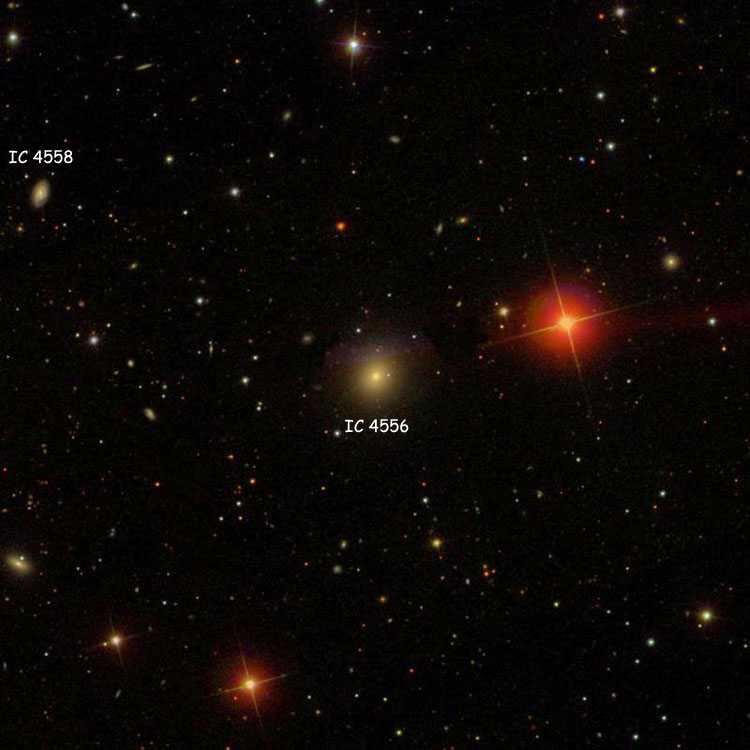 SDSS image of region near elliptical galaxy IC 4556, also showing IC 4558
