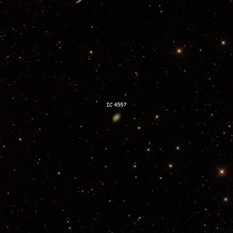 SDSS image of region near spiral galaxy IC 4557