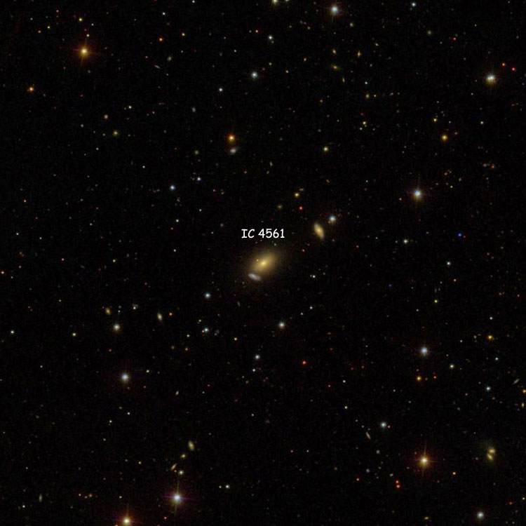SDSS image of region near lenticular galaxy IC 4561
