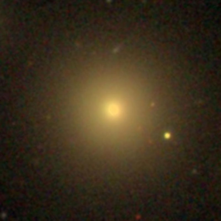 SDSS image of elliptical galaxy IC 4562