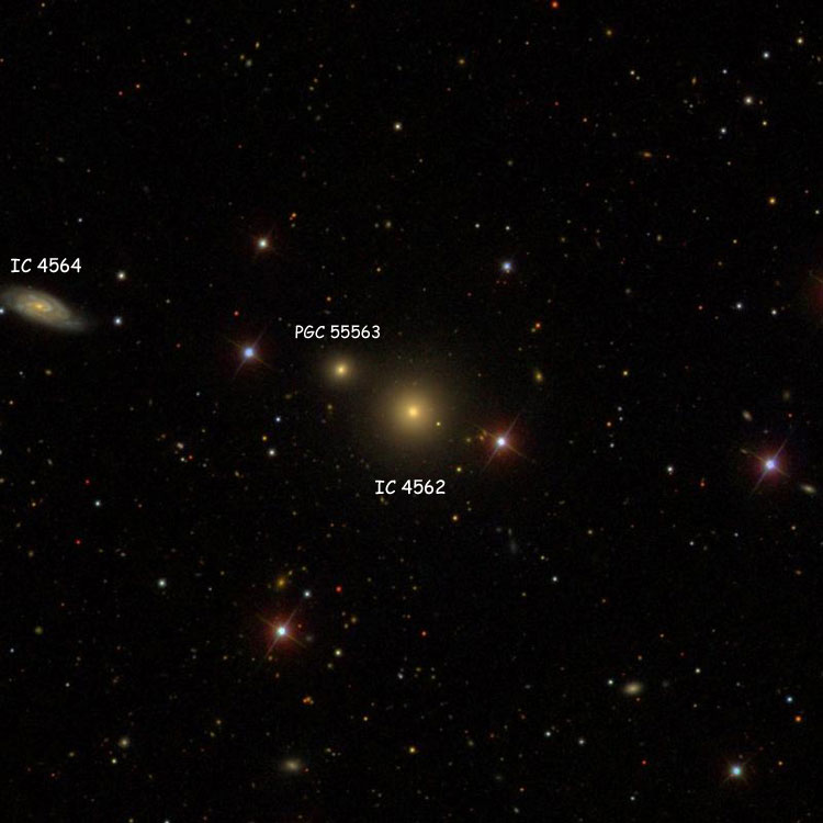 SDSS image of region near elliptical galaxy IC 4562, also showing IC 4564 and PGC 55563, which is sometimes called IC 4562A