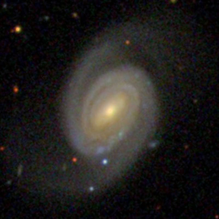 SDSS image of spiral galaxy IC 4566