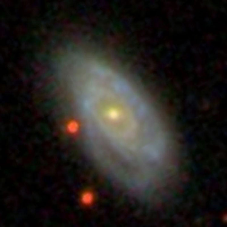 SDSS image of spiral galaxy IC 4568