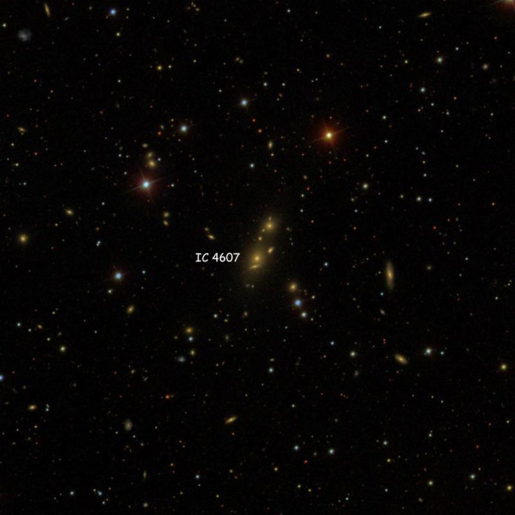 SDSS image of region near elliptical galaxy IC 4607