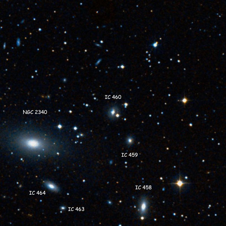 DSS image of region near lenticular galaxy IC 460, also showing lenticular galaxies IC 458 and 459, spiral galaxy IC 463, elliptical galaxy IC 464, elliptical galaxy NGC 2340, and the star (and companion galaxy) listed as IC 462