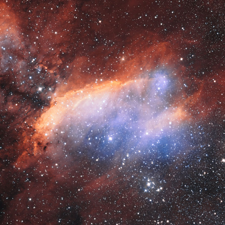 ESO image of region near emission nebula IC 4628, also known as the Prawn Nebula