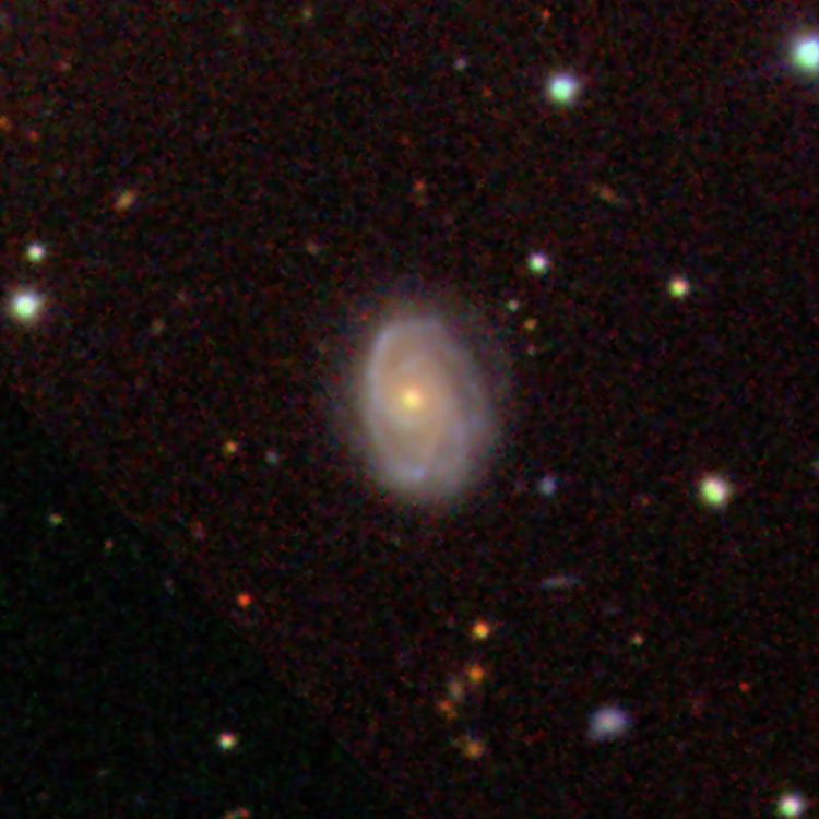 SDSS image of spiral galaxy IC 478